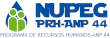 NUPEG logo